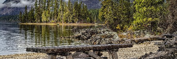 Ławki, Park Stanowy Lake Wenatchee, Góry, Stan Waszyngton, Stany Zjednoczone, Drzewa, Jezioro