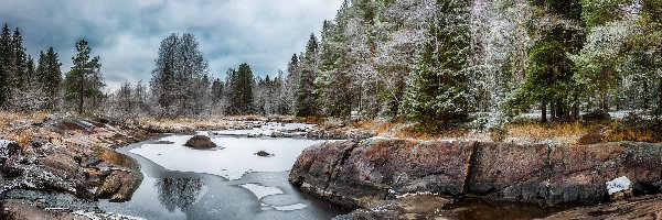 Drzewa, Rzeka Kiiminkijoki, Kamienie, Koitelin, Finlandia, Skały, Las