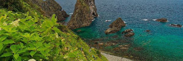 Japonia, Roślinność, Punkt widokowy Shimamui Coast, Skały, Morze, Hokkaido, Półwysep Shakotan