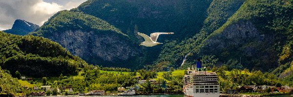 Norwegia, Fiord Aurlandsfjord, Statek, Brzeg, Góry, Aurland, Mewa