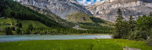 Góry, Jezioro Lac de Derborence, Alpy Berneńskie, Kanton Valais, Szwajcaria, Trawa, Świerki, Pasmo Les Diablerets, Rzeka