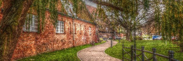 Drzewo, Alejka, Budynek, HDR, Polska, Gdańsk