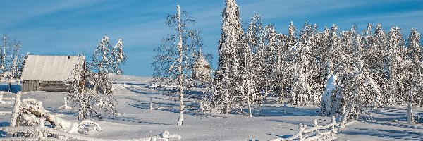 Dom, Ogrodzenie, Drzewa, Zima