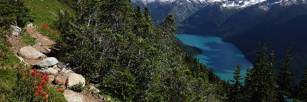 Góry, Jezioro Cheakamus, Park Prowincjonalny Garibaldi, Ścieżka, Kolumbia Brytyjska, Kanada