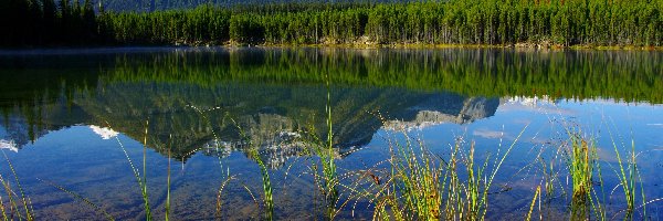 Jezioro, Góry, Lasy, Piękne