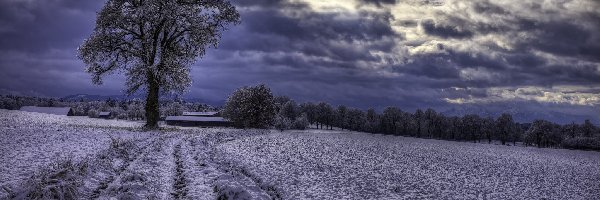 Pola, Niemcy, Droga, Region Oberland, Wieś, Schwaigwall, Śnieg, Zabudowania, Zima, Bawaria, Drzewa