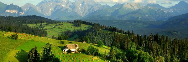 Polska, Łąki, Pola, Lasy, Góry, Tatry, Domy