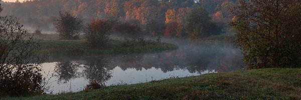 Drzewa, Mgła, Jesień, Rzeka