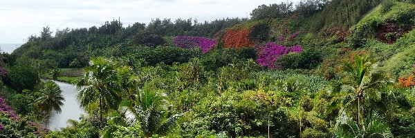 Hawaje, Botaniczny, Ogród