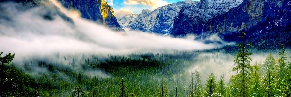 Drzewa, Park Narodowy Yosemite, Góry, Mgła, Stan Kalifornia, Stany Zjednoczone
