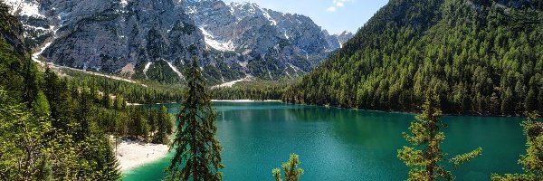 Jezioro Pragser Wildsee, Tyrol Południowy, Góry Dolomity, Drzewa, Włochy
