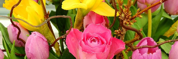 Żonkile, Bukiet Kwiatów, Róża, Tulipany