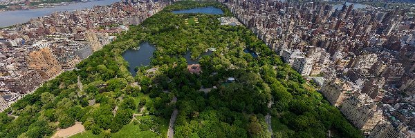 Central Park, Nowy Jork