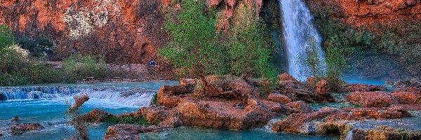 Arizona, Rzeka Havasu Creek, Skały, Drzewa, Park Narodowy Wielkiego Kanionu, Stany Zjednoczone, Kanion, Wodospad Havasu Falls