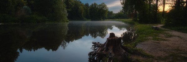 Drzewa, Park, Rosja, Obwód moskiewski, Staw, Ścieżka, Ławeczka, Serednikowo