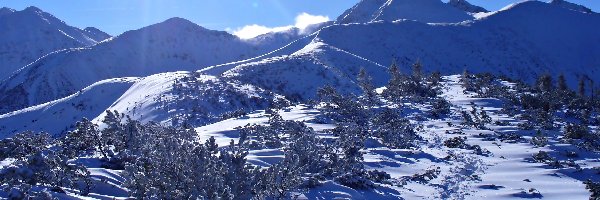 Polska, Promienie Słońca, Zima, Tatry