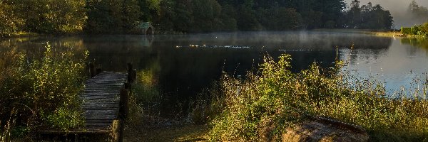 Wieczór, Trossachs, Zarośla, Pomost, Jezioro, Las, Łódź, Szkocja