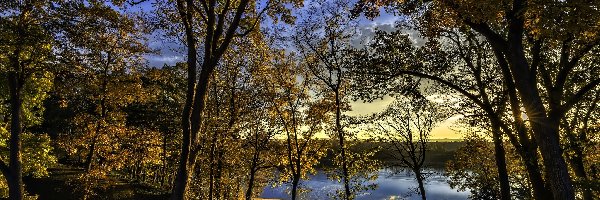 Park, Jezioro, Droga