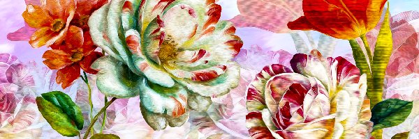 Tulipan, Grafika, Róże, Kwiaty