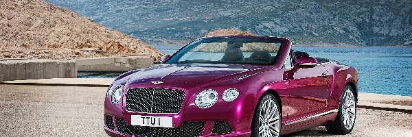 Convertible, GT, Speed, 2013, Continental, Bentley