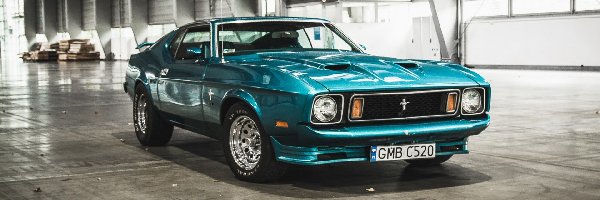 1973, Ford, Mustang