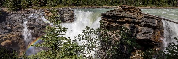 Wodospad Athabasca, Prowincja Alberta, Świerki, Tęcza, Park Narodowy Jasper, Rzeka Athabasca, Skały, Kanada