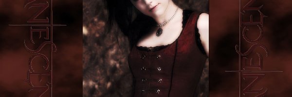 Wokalistka, Evanescence, Amy Lee