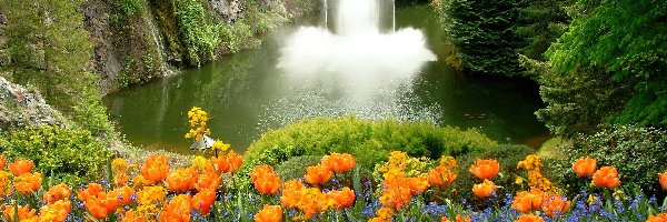 Niezapominajki, Tulipany, Wodospad