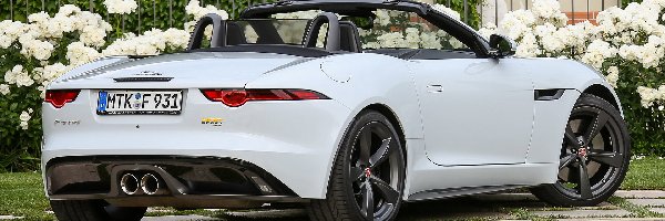 Cabrio, Jaguar F-Type 400