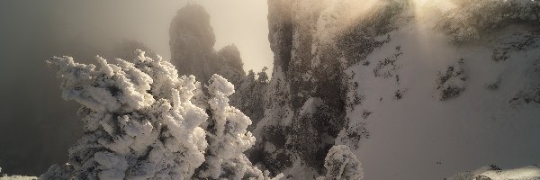 Krym, Promienie słońca, Góry Krymskie, Drzewa, Zima, Szczyt Aj-Petri, Śnieg