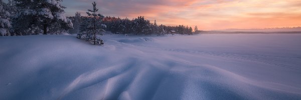 Drzewa, Las, Norwegia, Jezioro, Zachód słońca, Chmury, Zaśniezone, Zima, Dom, Ringerike