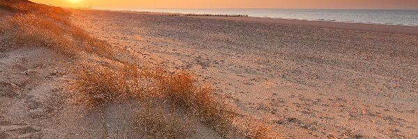 Piasek, Morze Północne, Plaża, Wschód słońca, Cadzand, Holandia