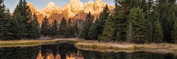 Drzewa, Park Narodowy Grand Teton, Rzeka Snake River, Stan Wyoming, Stany Zjednoczone, Odbicie, Góry Teton Range