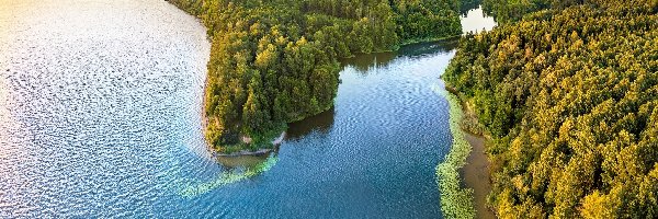 Jezioro Kaunas Reservoir, Kowno, Park regionalny Kauno marios, Lasy, Litwa