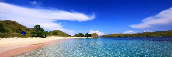 Wzgórza, Morze, Plaża, Drzewa, Komodo, Wyspa