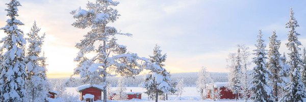 Drzewa, Zima, Ośnieżone, Domy, Laponia, Finlandia