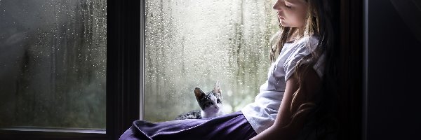 Kot, Okno, Deszcz, Dziewczynka