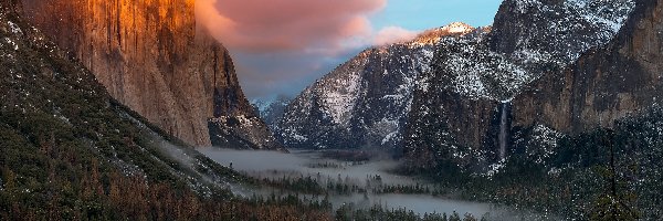Lasy, Szczyt El Capitan, Park Narodowy Yosemite, Stan Kalifornia, Stany Zjednoczone, Chmury, Niebo, Góry, Mgła