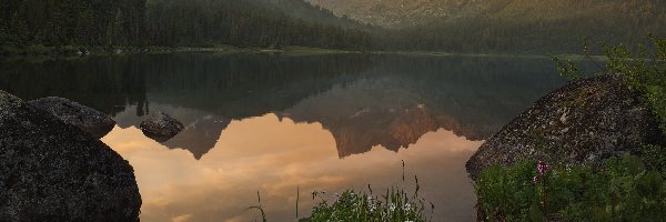 Kwiatki, Kamienie, Głazy, Odbicie, Jezioro, Góry