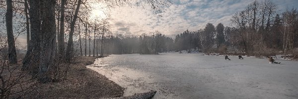 Rosja, Wędkarze, Staw Barski, Drzewa, Zima, Obwód moskiewski, Serednikowo