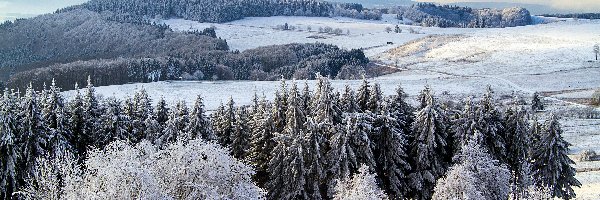 Śnieg, Zima