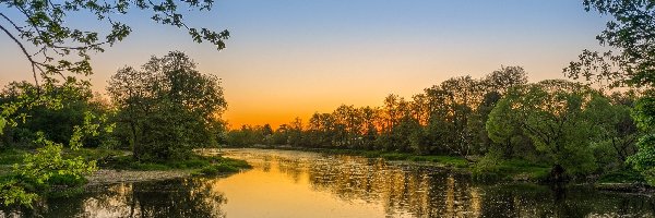 Rzeka, Słońca, Wschód, Roślinność, Drzewa