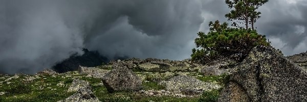 Chmury, Drzewa, Ciemne, Trawa, Kamienie, Skały