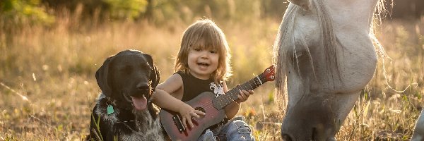 Dziecko, Pies, Gitara, Łąka, Koń