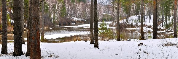 Las, Rzeka, Góry, Zima