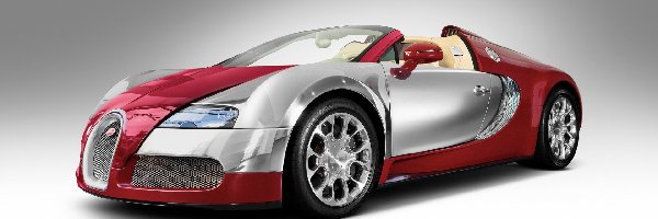 Bugatti Veyron, Czerwono-Srebrny