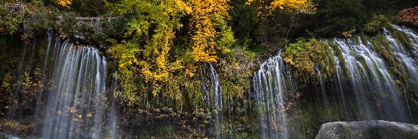 Kamienie, Drzewa, Stany Zjednoczone, Stan Kalifornia, Rzeka, Jesień, Hrabstwo Siskiyou, Wodospad Mossbrae Falls