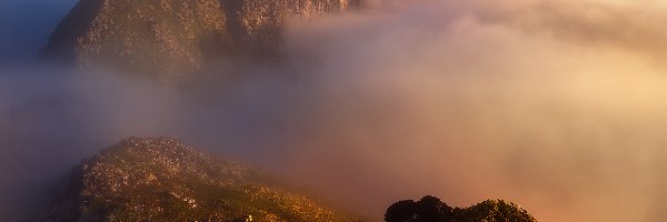 Norwegia, Wyspa Senja, Region Troms, Mgła, Góry