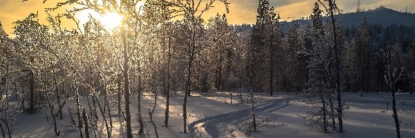 Droga, Finlandia, Oszronione, Miejscowość Ruka, Wschód słońca, Wzgórza Ruka, Las, Wzgórza, Zima, Region Ostrobotnia Północna, Drzewa
