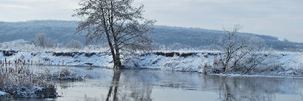 Rzeka, Drzewa, Zima